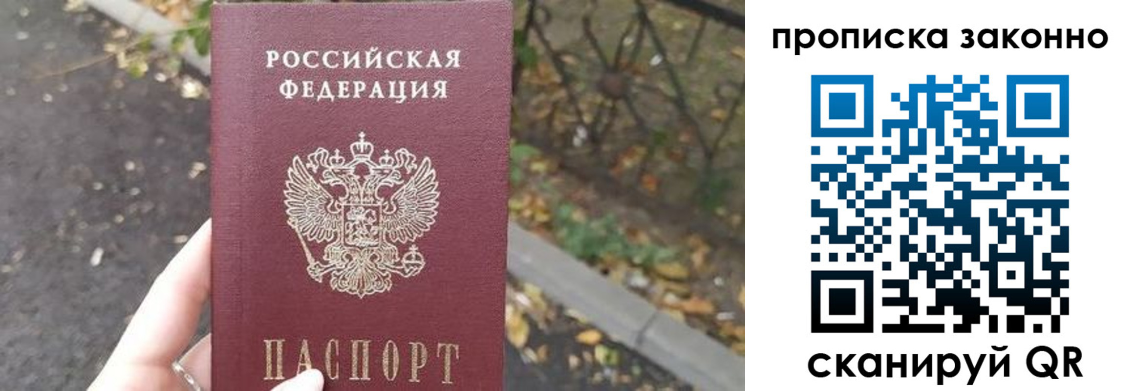 прописка для школы в Краснознаменске